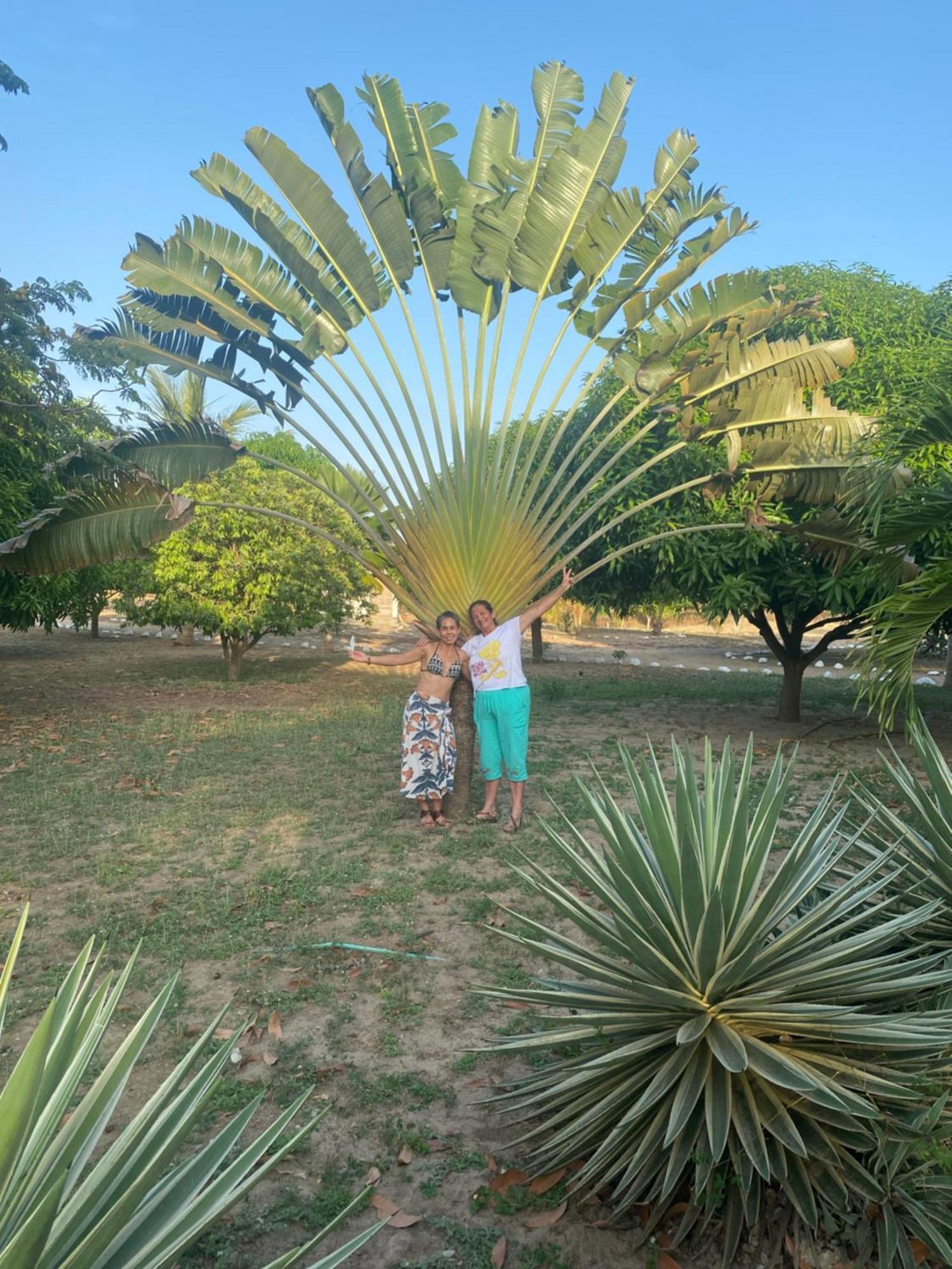 Coccoloba Beach Hostel Dibulla Luaran gambar
